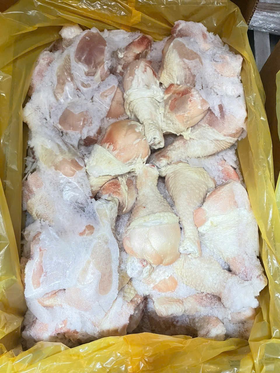 Đùi tỏi Lớn P3 (4-5 cái/kg) - Mỹ
