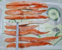 Lườn cá hồi đông lạnh nhập khẩu