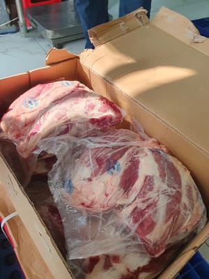 Bắp Bò KYLCOY - Úc