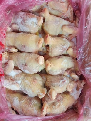 Gà dai (Gà bọng) (12 con) SINGREEN - Hàn Quốc
