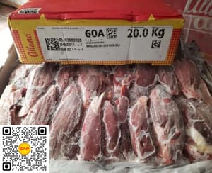 Bắp hoa Allana 60A
