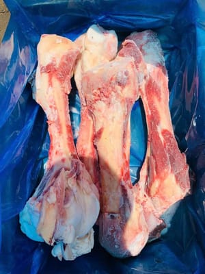 Xương ống OMC/ KYLCOY - Úc