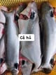 Cá Hú nguyên con làm sạch, còn đầu